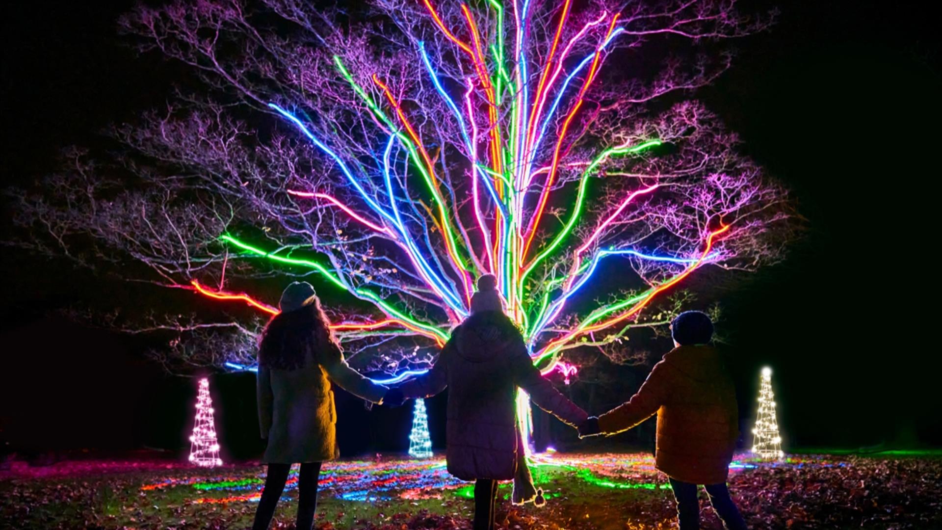Christmas at Westonbirt Arboretum
