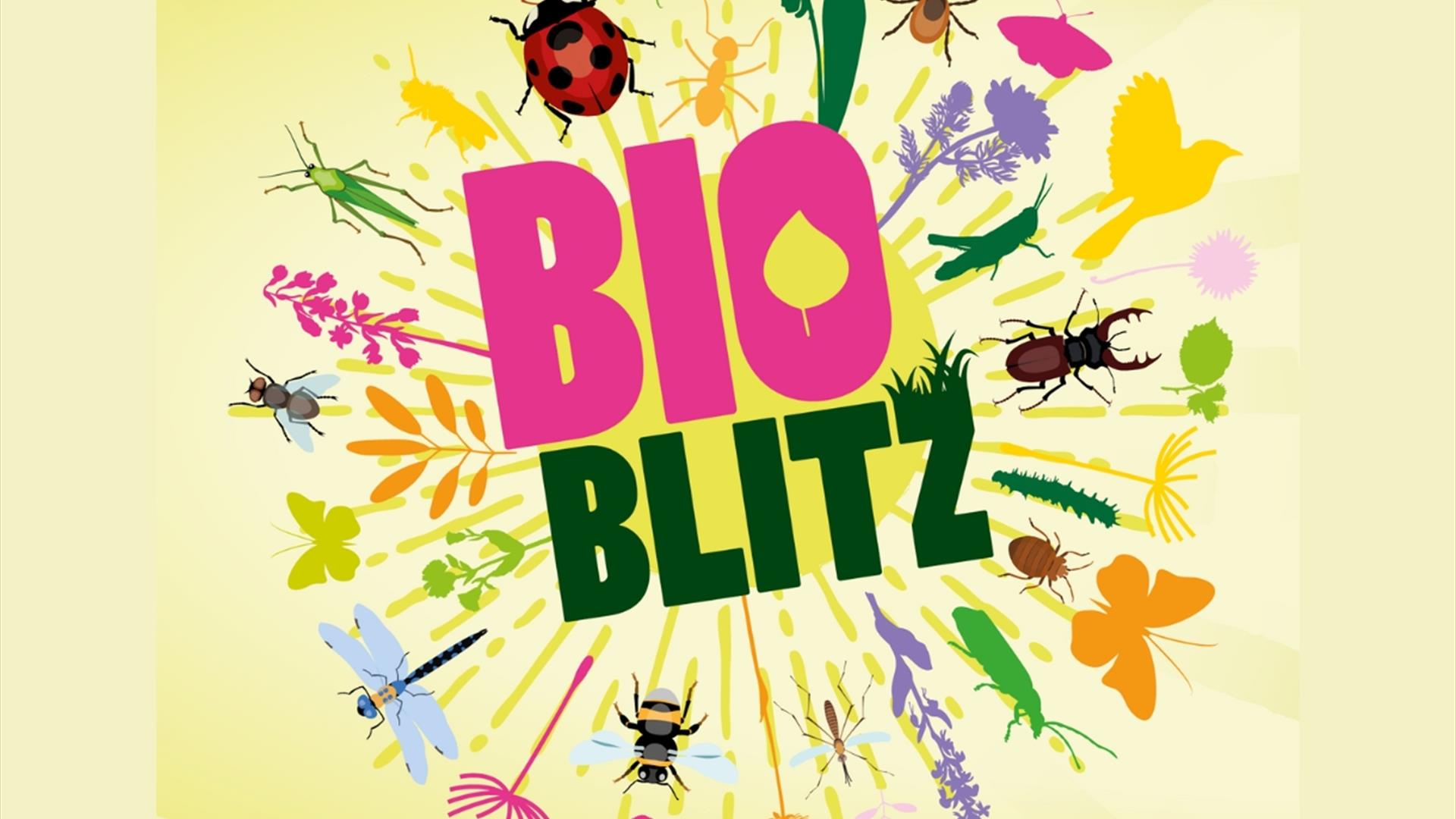Bioblitz at Westonbirt Arboretum