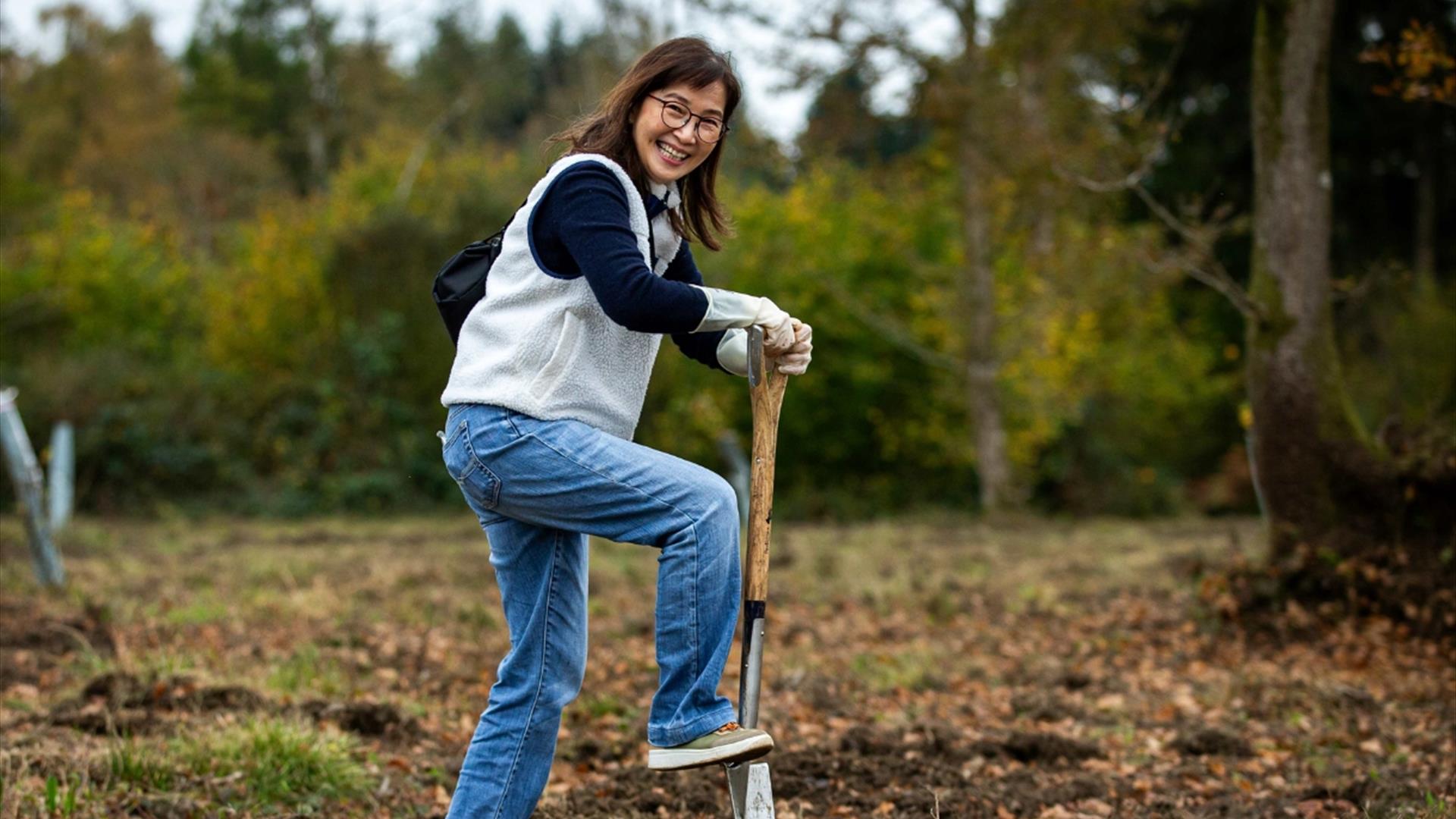 Public Volunteering Day at Westonbirt Arboretum's Community Woodland