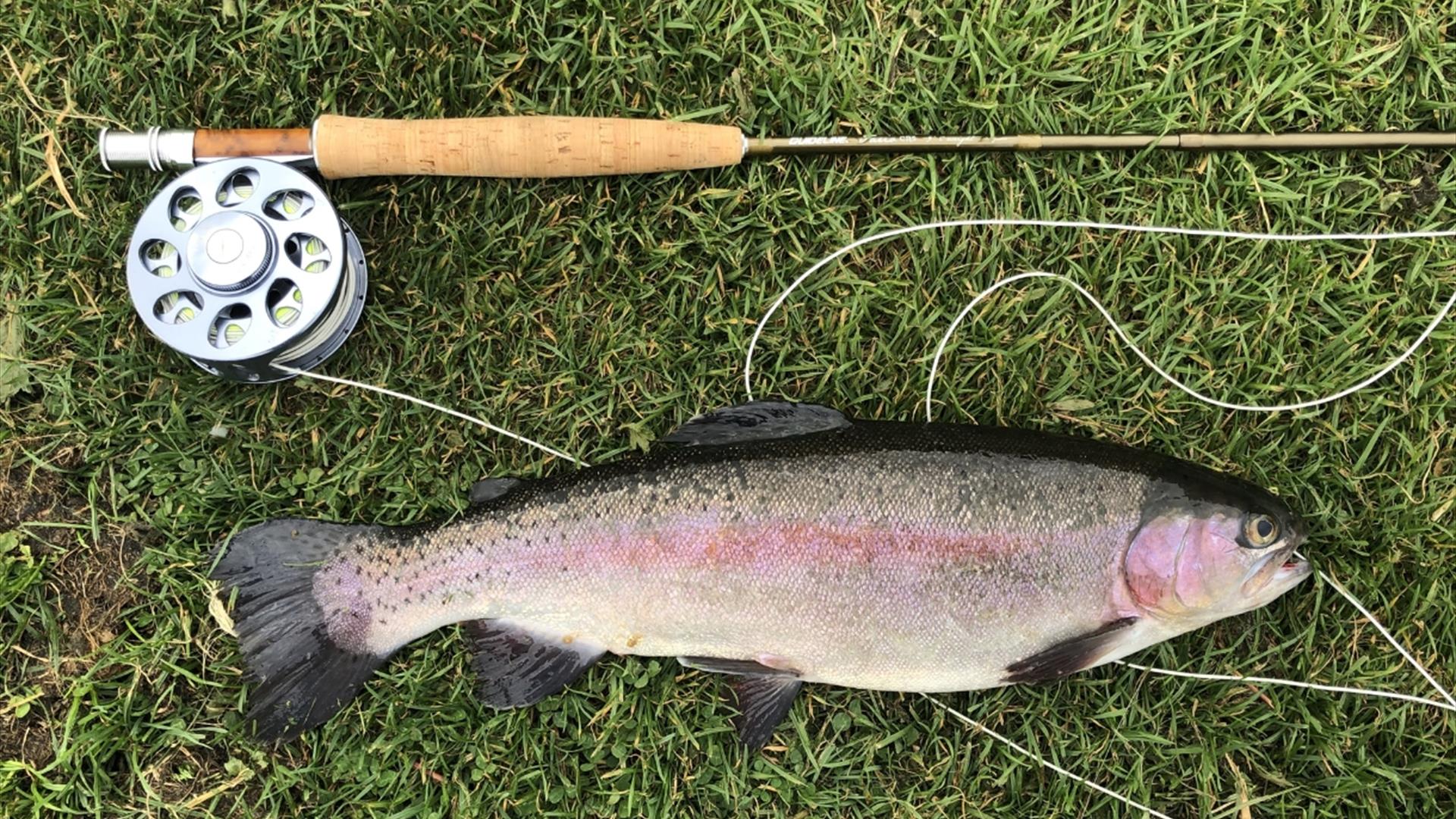 Beginners Fly Fishing at Vale House Kitchen