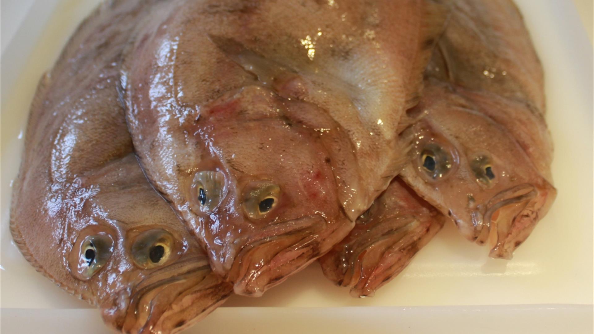 Fish Cookery Course at Vale House Kitchen