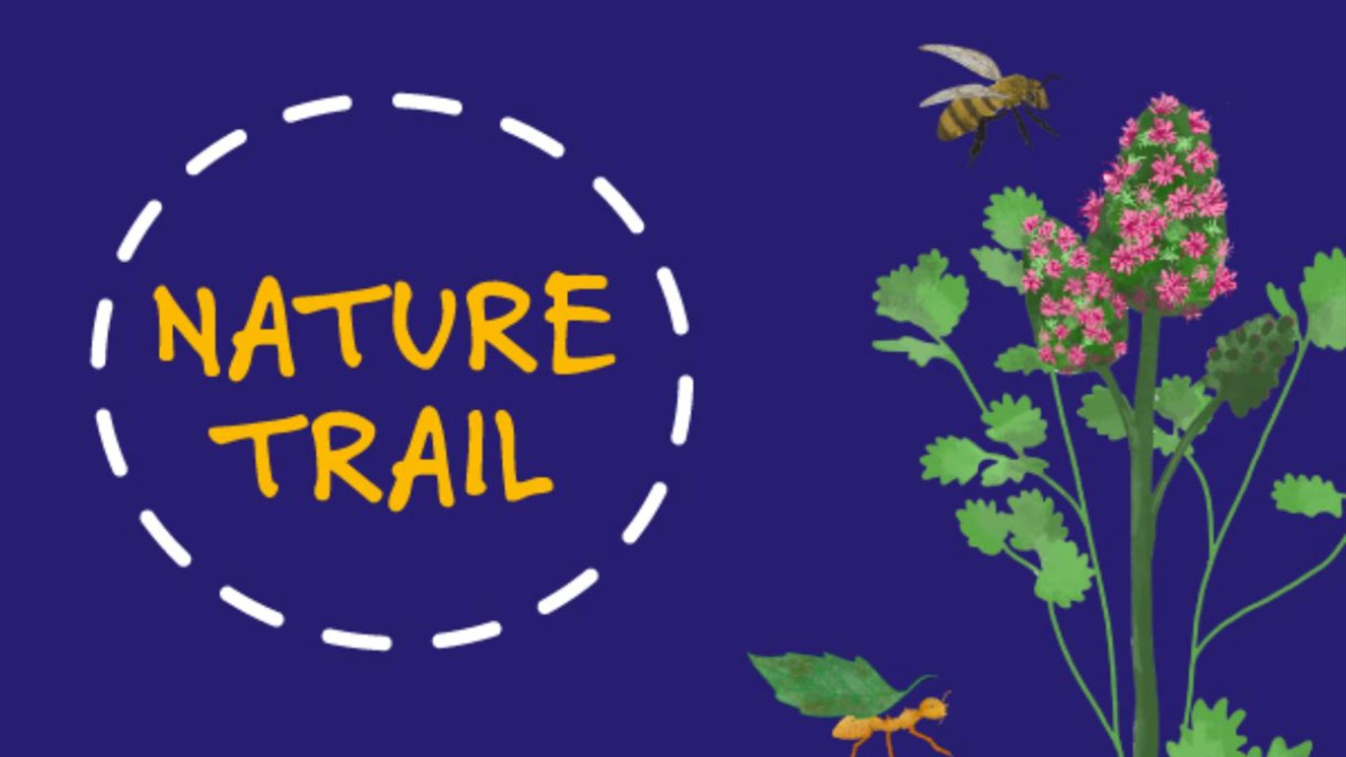 Dorothy House Interactive Nature Trail