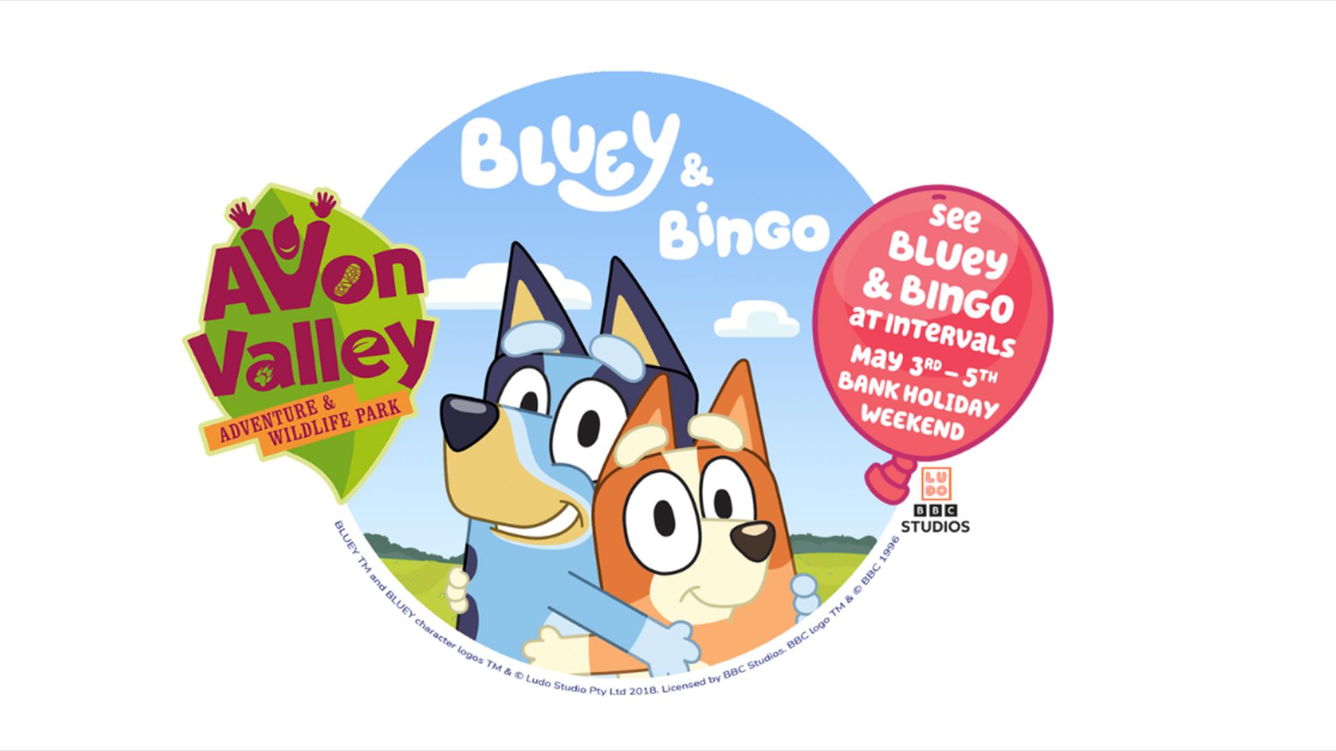 Bluey & Bingo at Avon Valley Adventure Park