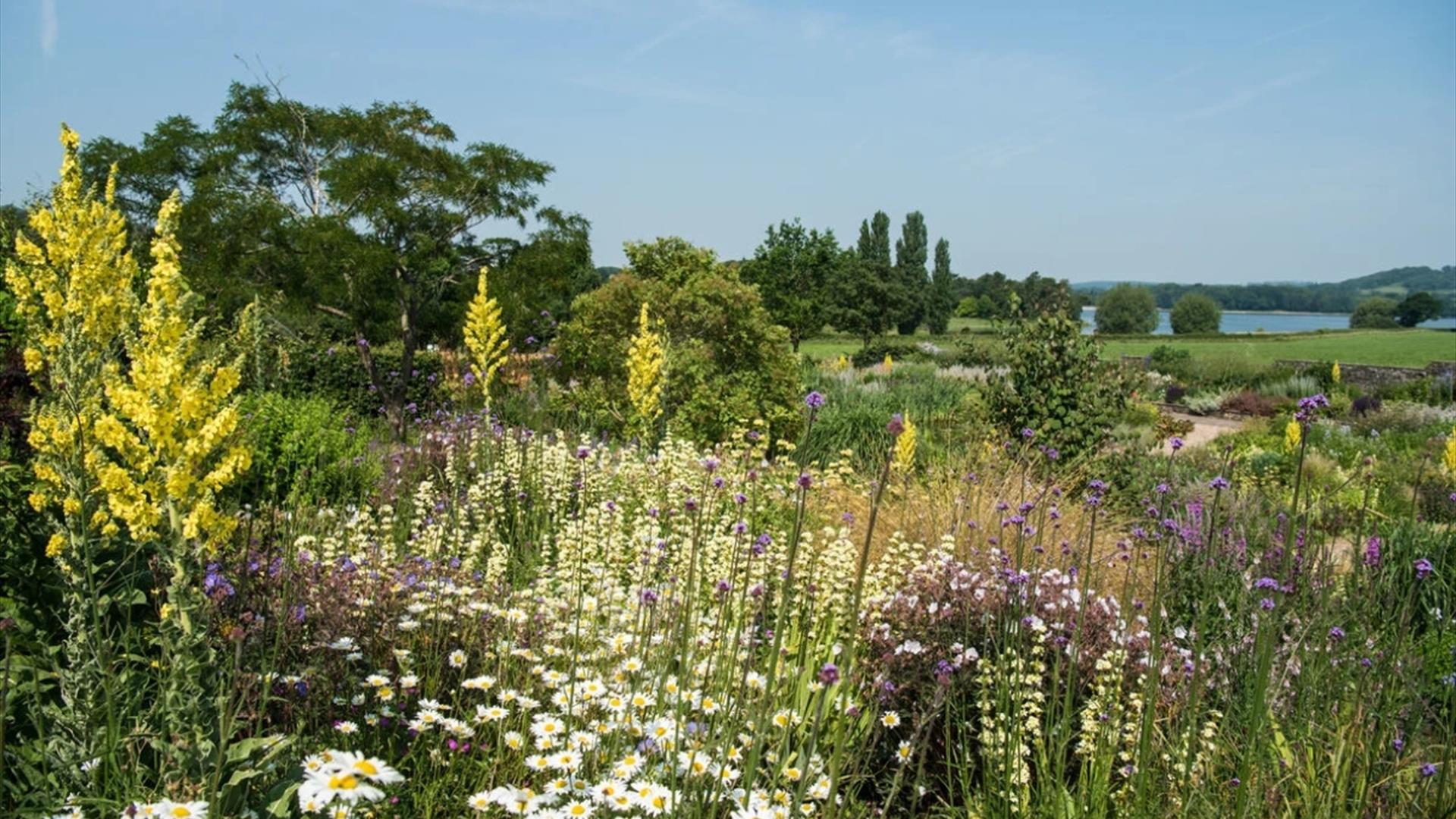 Best of Both Days at Yeo Valley Organic Garden