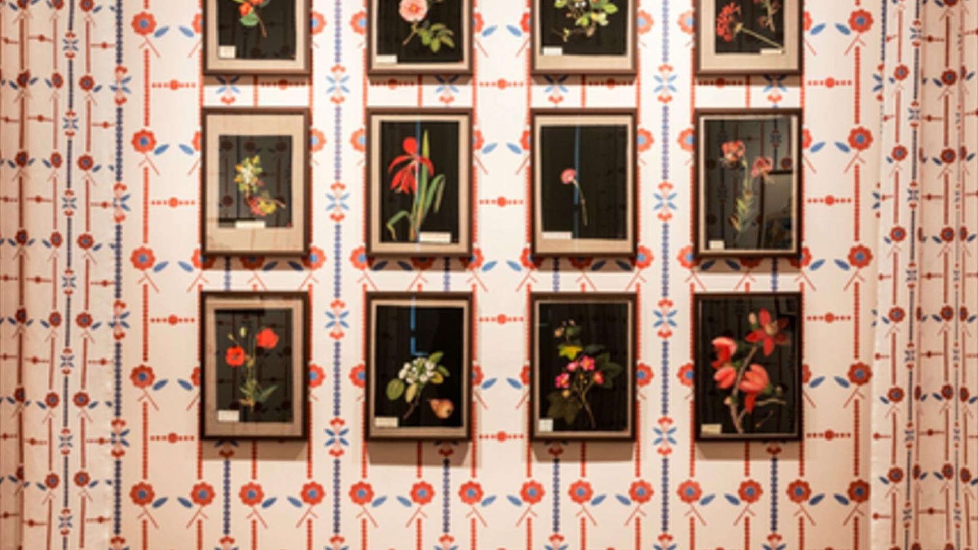 British Museum Curator talk: Mary Delany's 'Paper Mosaicks' at No.1 Royal Crescent