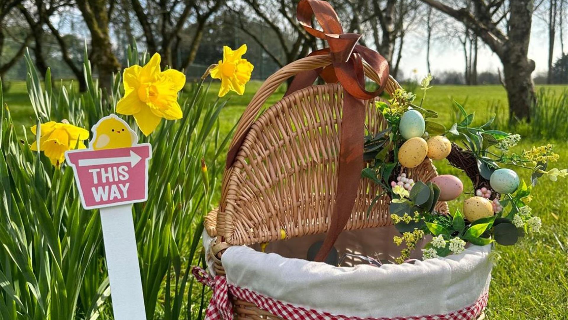 Easter Egg hunt at Tiigo