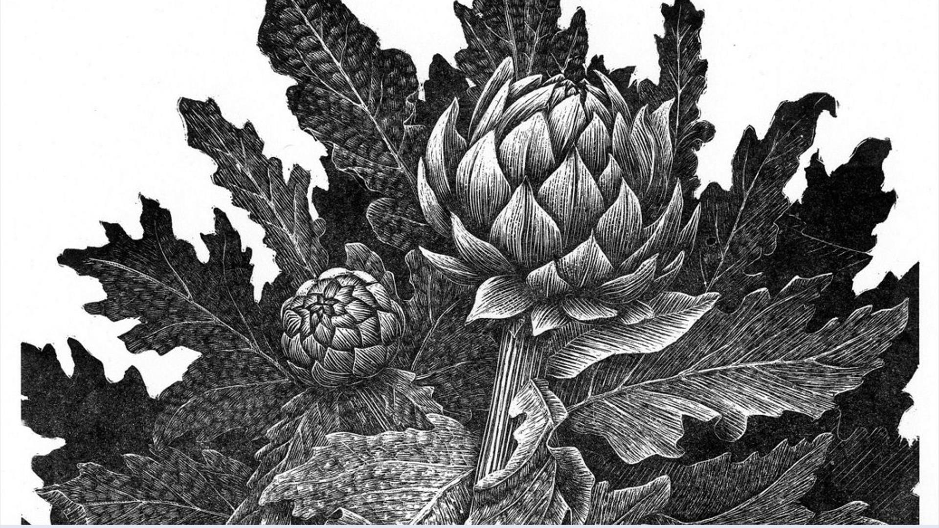 Geri Waddington – Against the Grain at Victoria Art Gallery