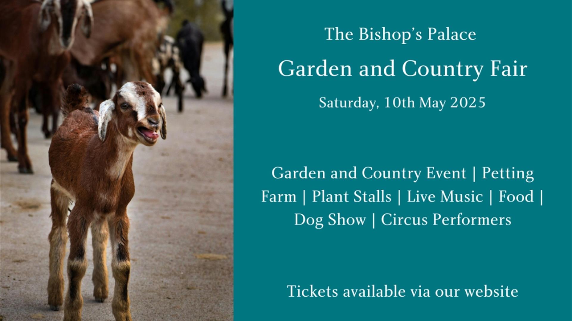 The Bishop's Palace Garden and Country Fair 2025 at The Bishop's Palace and Gardens
