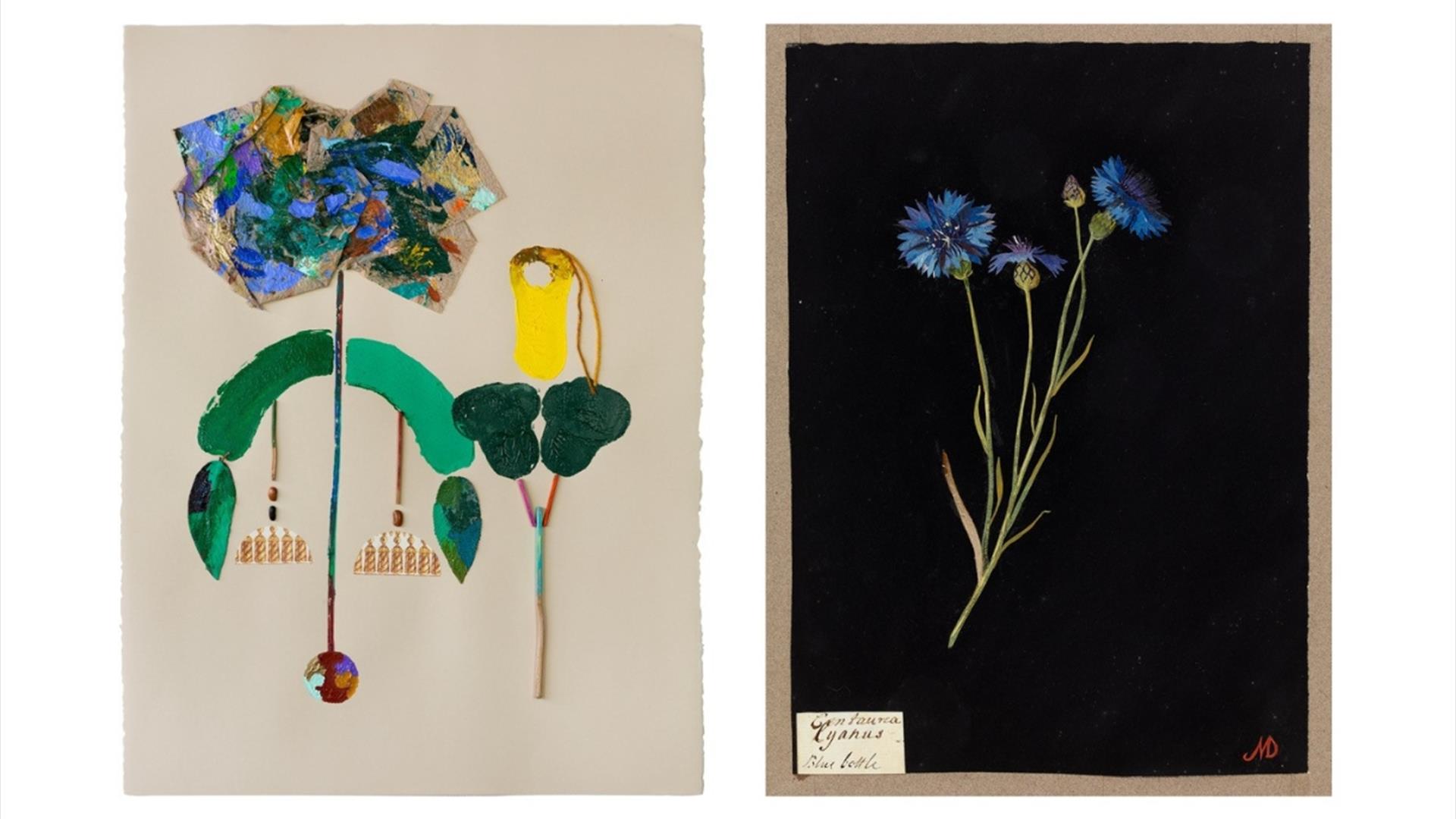 The Botanical World of Mary Delany & Georgie Hopton at No.1 Royal Crescent
