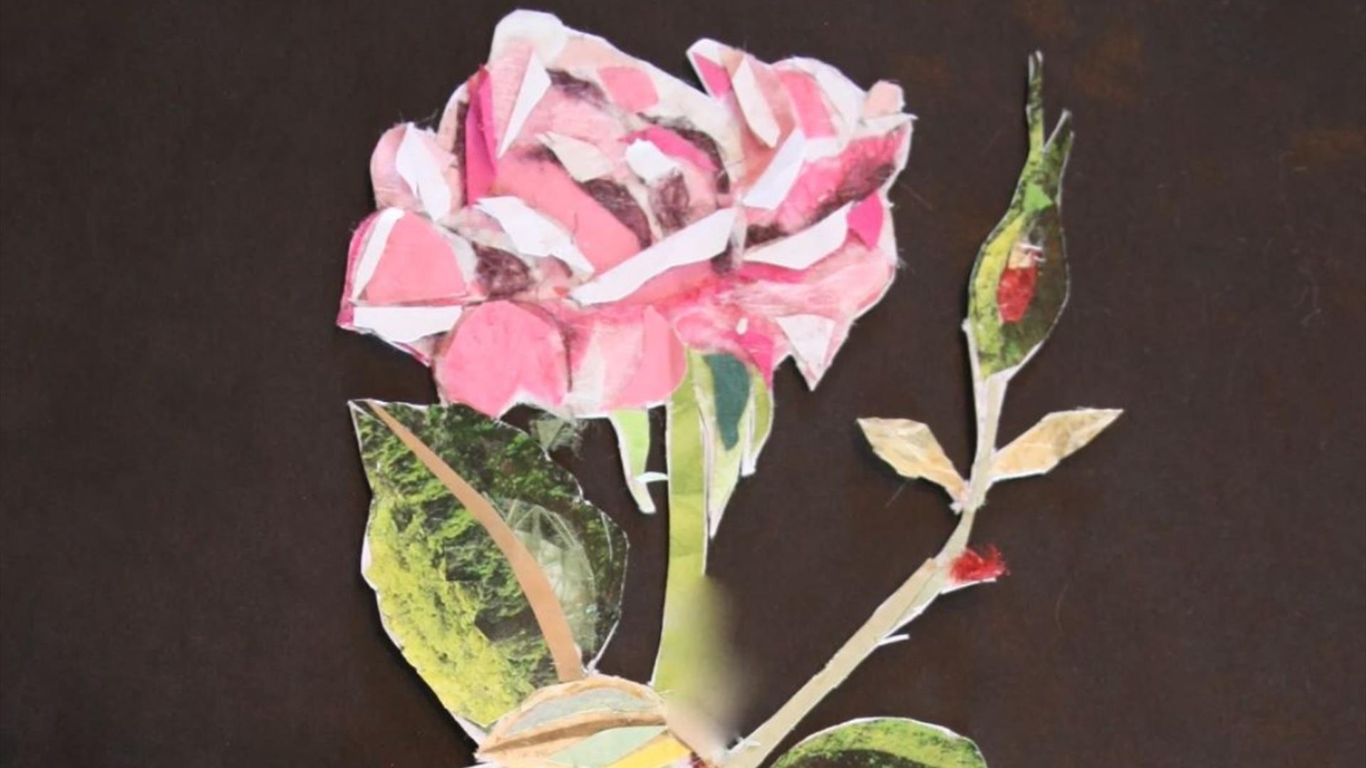 Collaging Nature with Jessica Palmer at No.1 Royal Crescent
