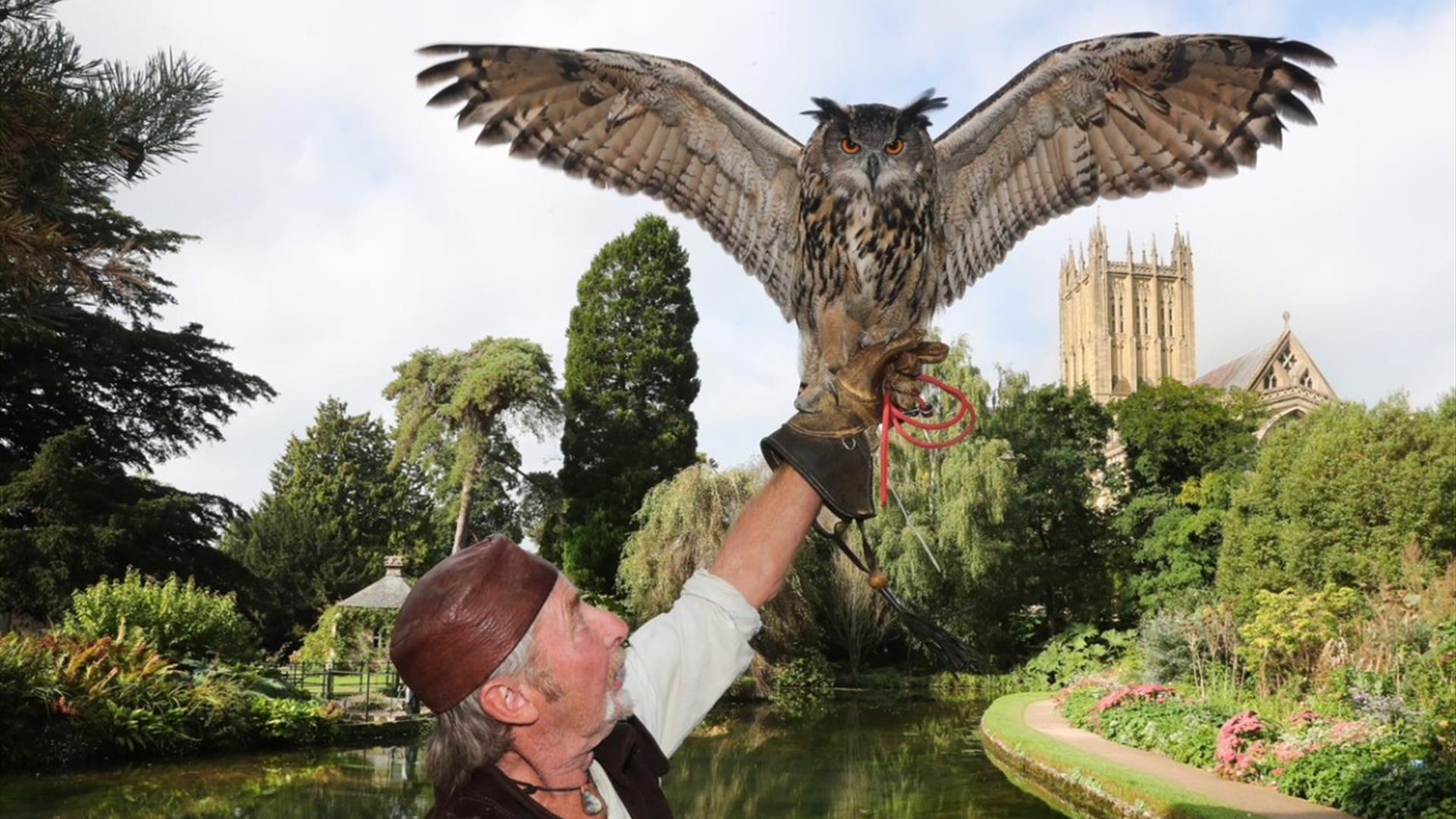 Medieval Falconry at The Bishop's Palace and Gardens