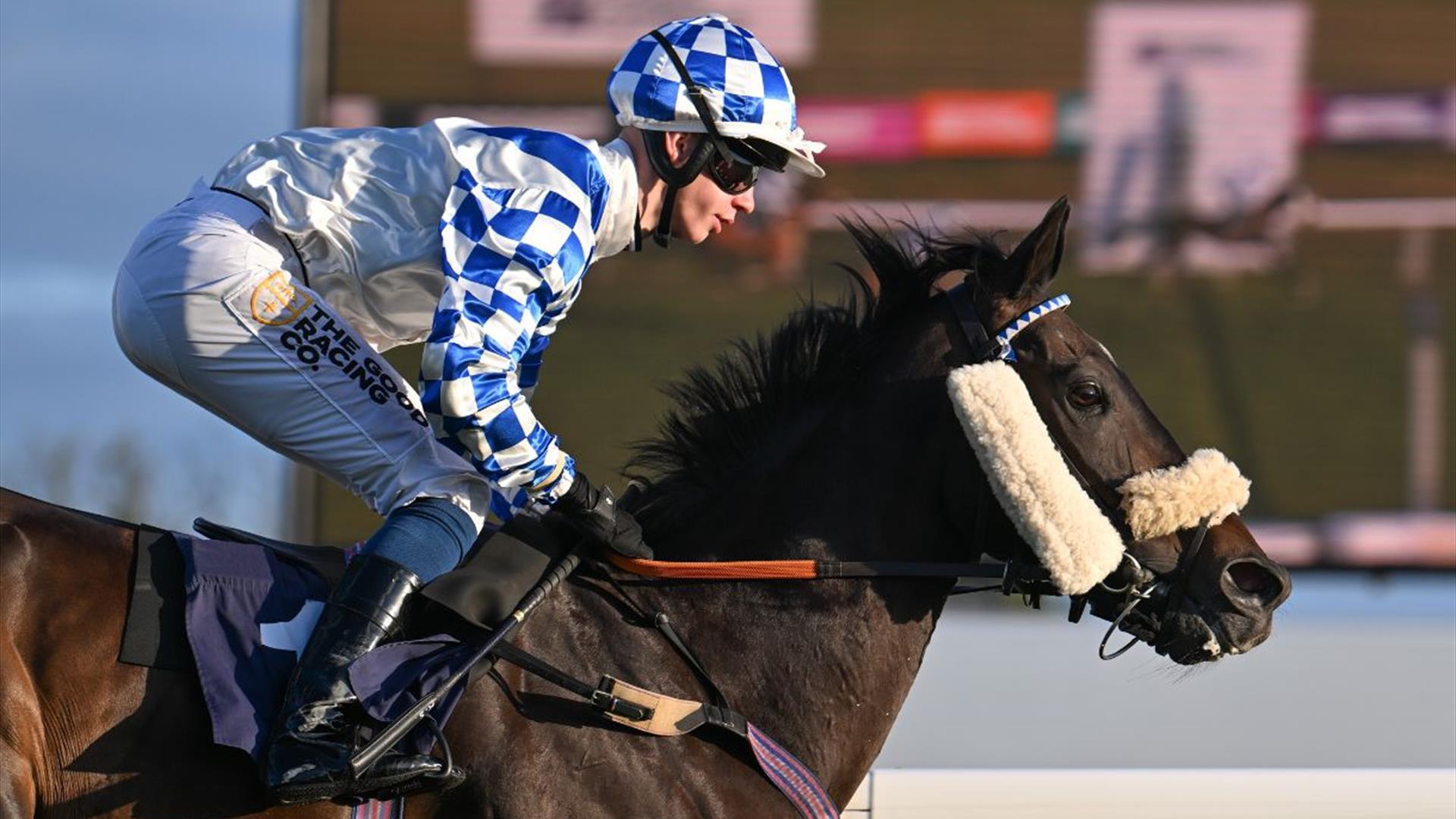 Summer Afternoon Racing at Bath Racecourse