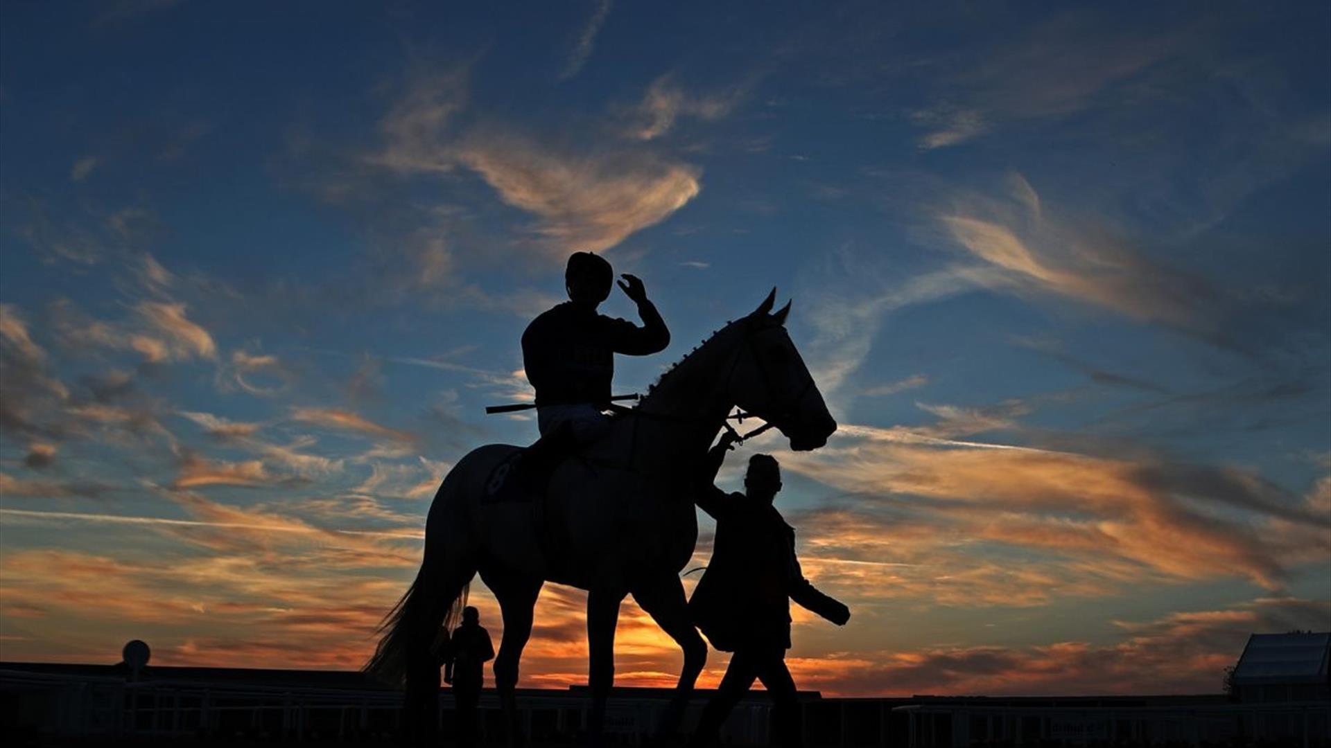 Summer Evening Racing at Bath Racecourse