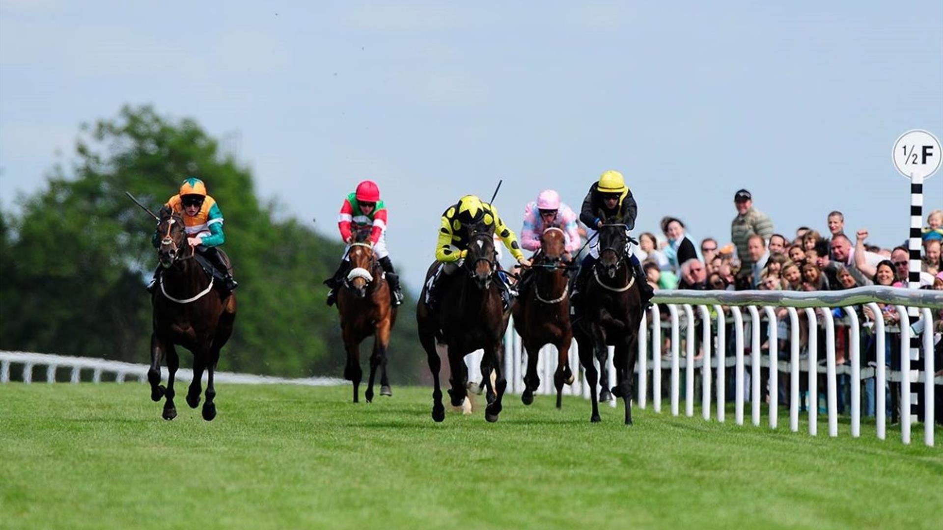 Easter Sunday Raceday at Bath Racecourse