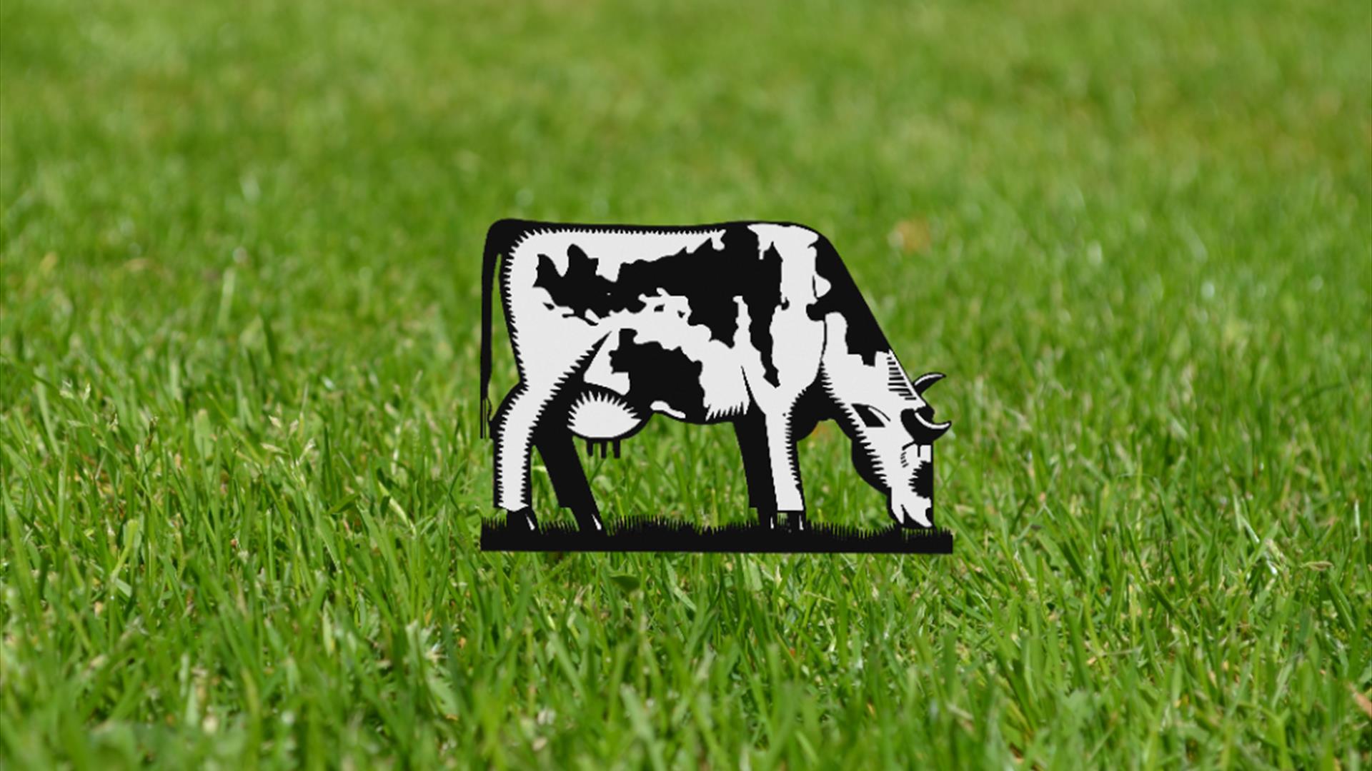 3 Acres + A Cow: Wild Waters Festival at Wiltshire Music Centre