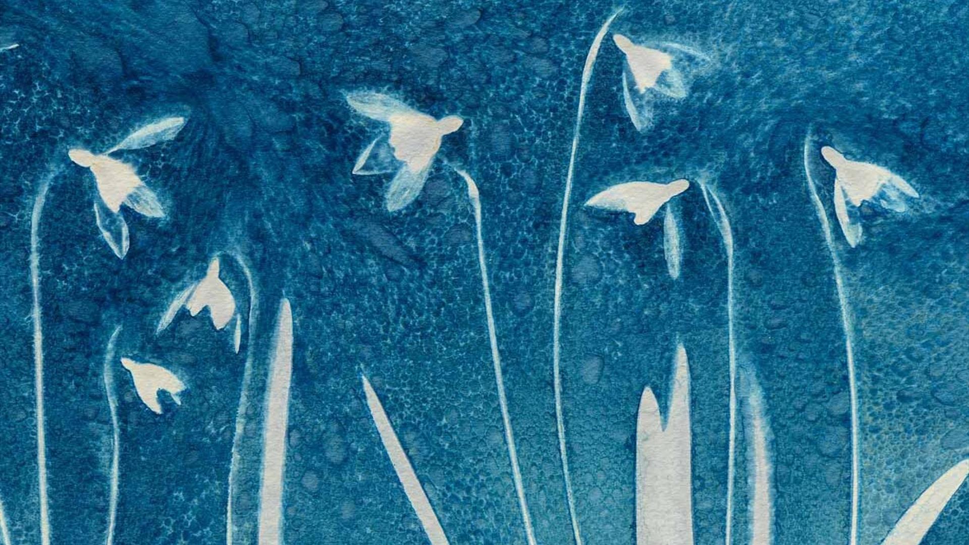 Botanical Cyanotype Workshop at No1 Royal Crescent