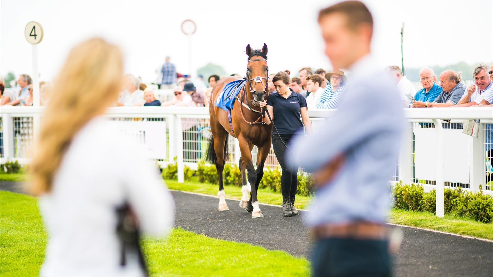 October Afternoon Racing at Bath Racecourse