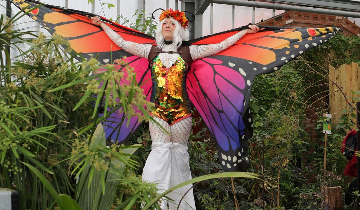 Make it a Magical Mother's Day! at the Tropical Butterfly House