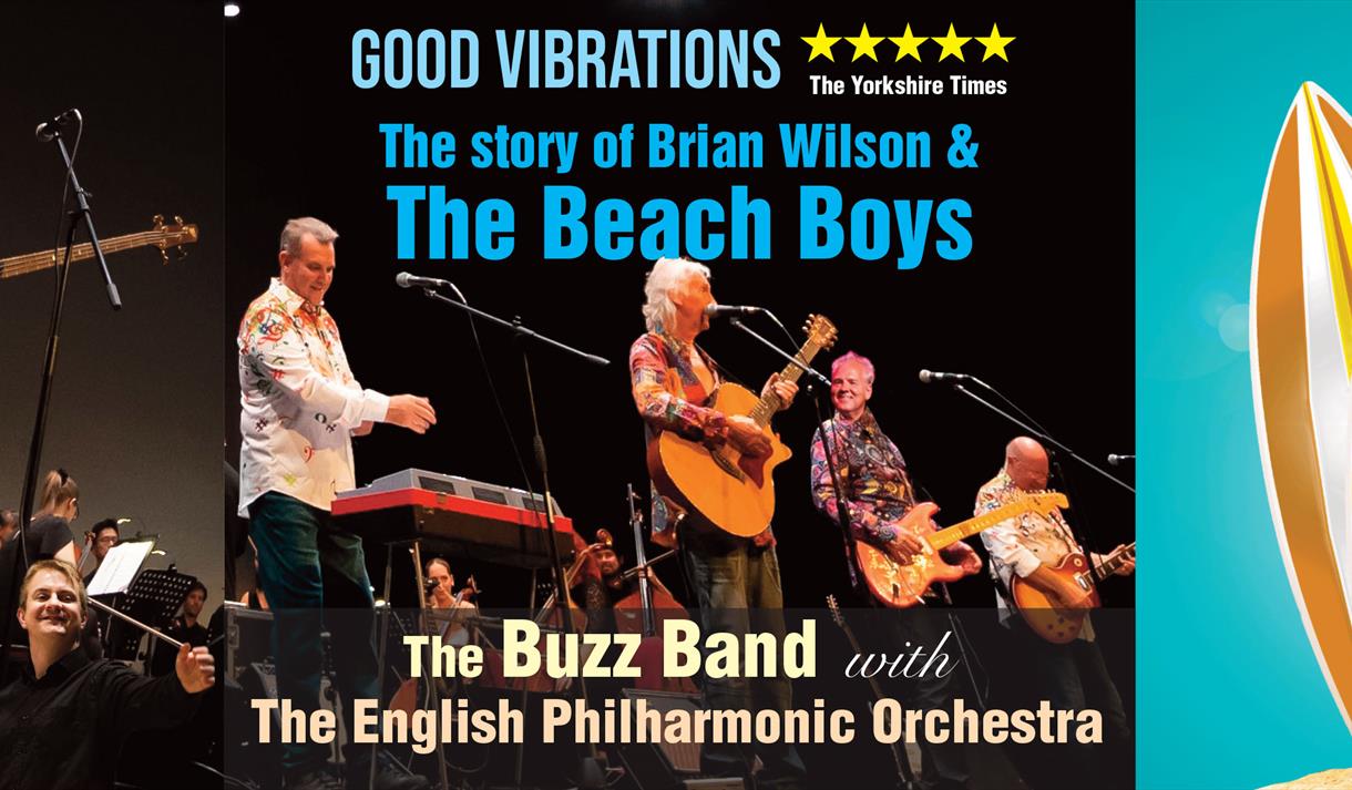 Good Vibrations - The Genius of Brian Wilson