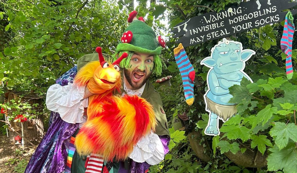 Enchanted Fairy Forest