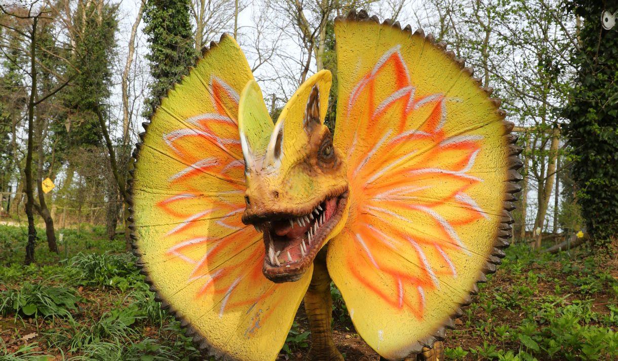 Roar and Explore! Jurassic adventures await at the Tropical Butterfly House