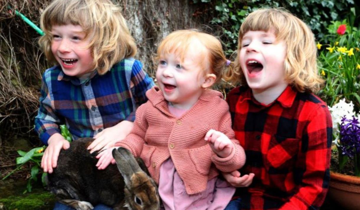 Hop along the Easter Buddies Trail!