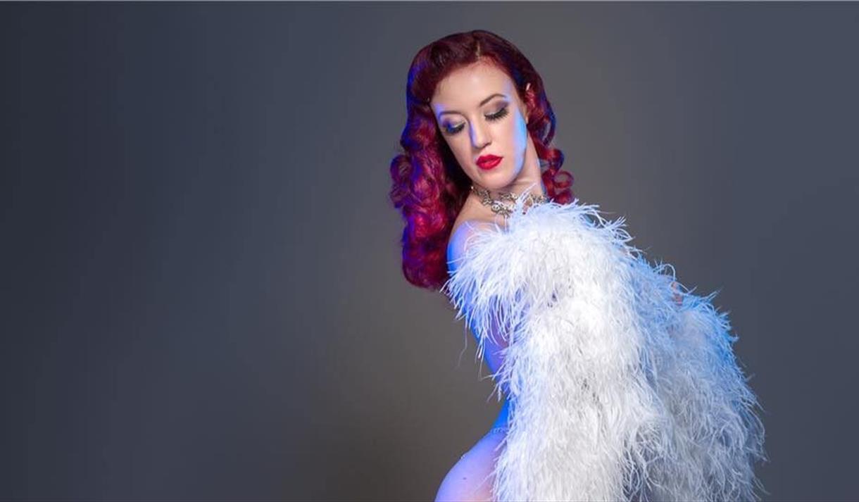 Cirque Du Soiree Variety Show