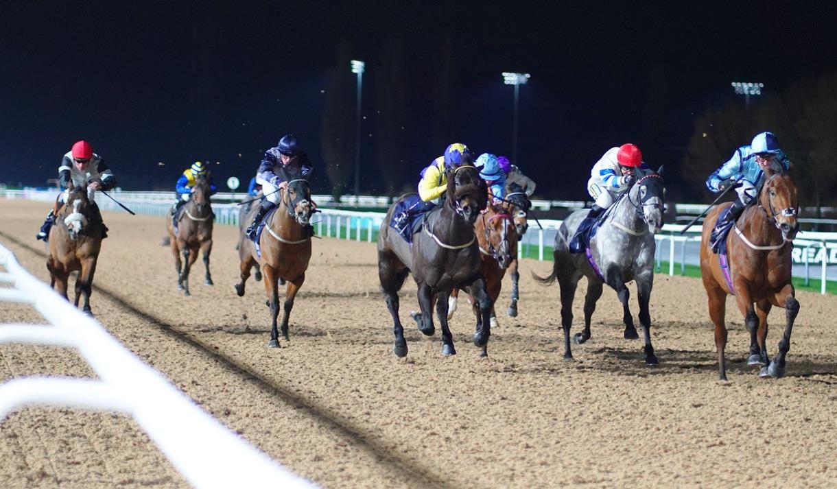 Flat Racing at Southwell Racecourse