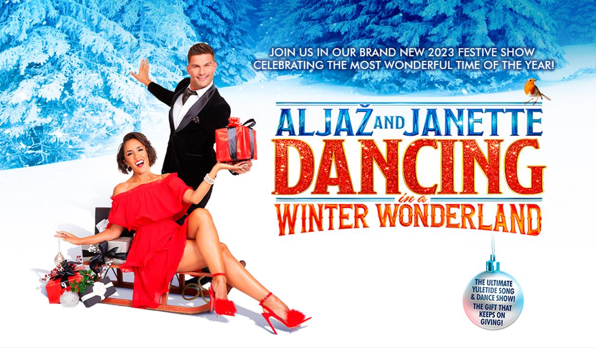 Aljaž & Janette - Dancing in a Winter Wonderland