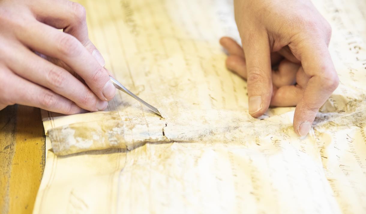 Behind The Scenes In The Conservation Workshop