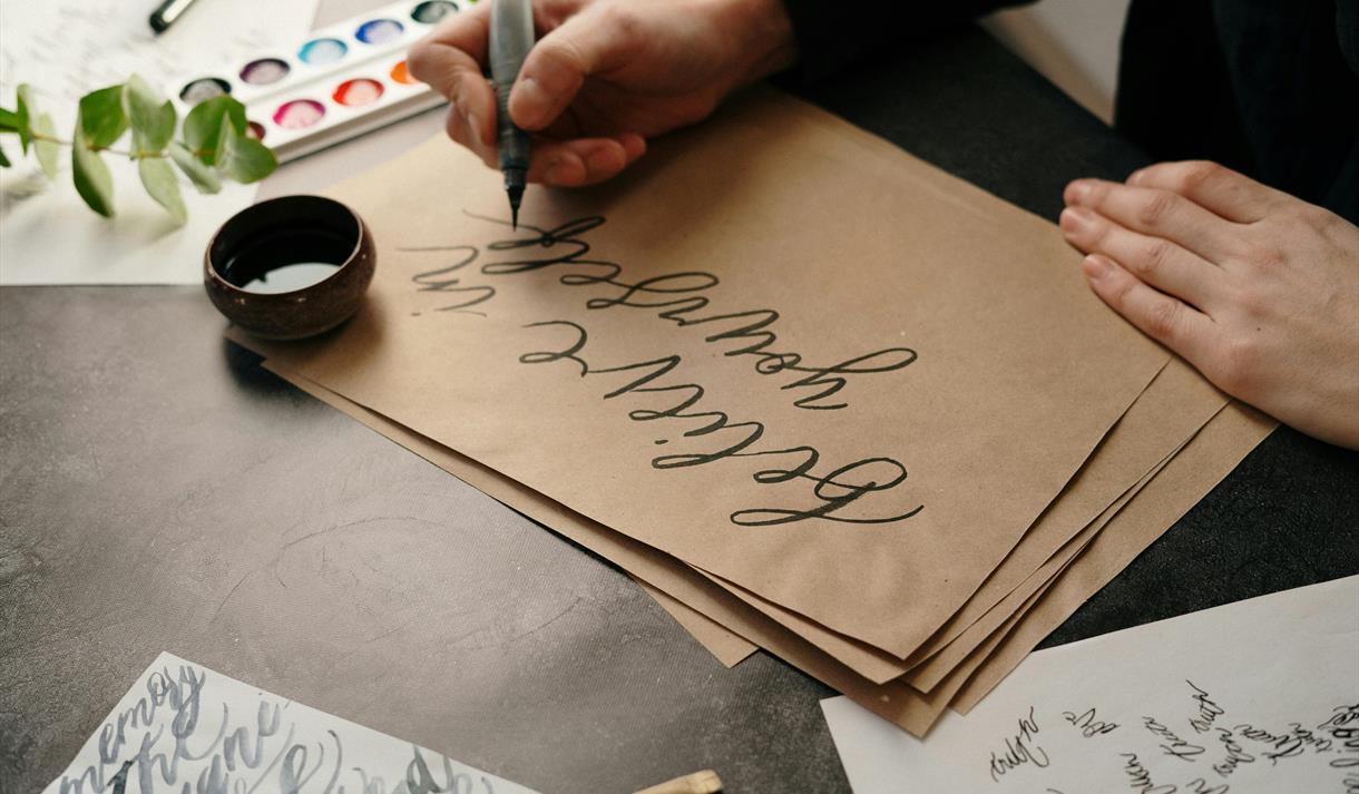 Drawing and Painting with Ink wtih Elaine Winter