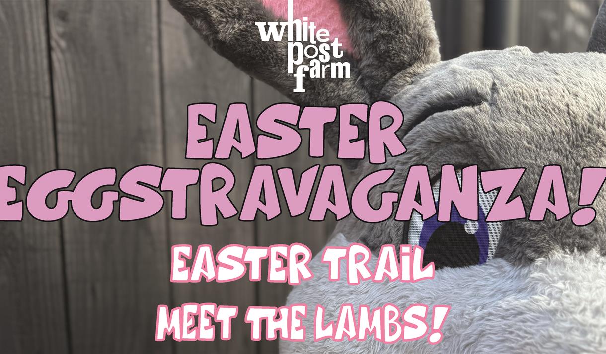 Easter EGGstravaganza at White Post Farm