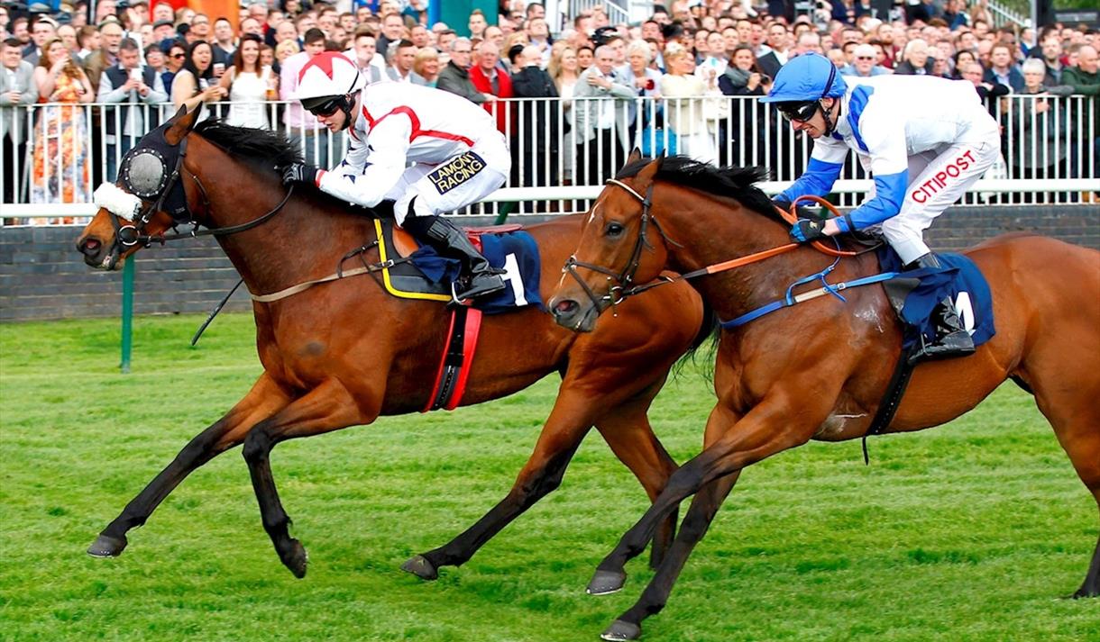 £9 Evening Racing at Nottingham Racecourse 2025