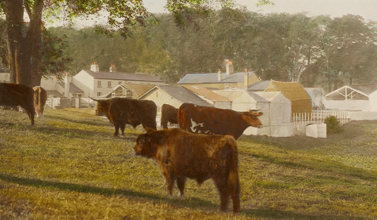 Talk: Health and the Countryside