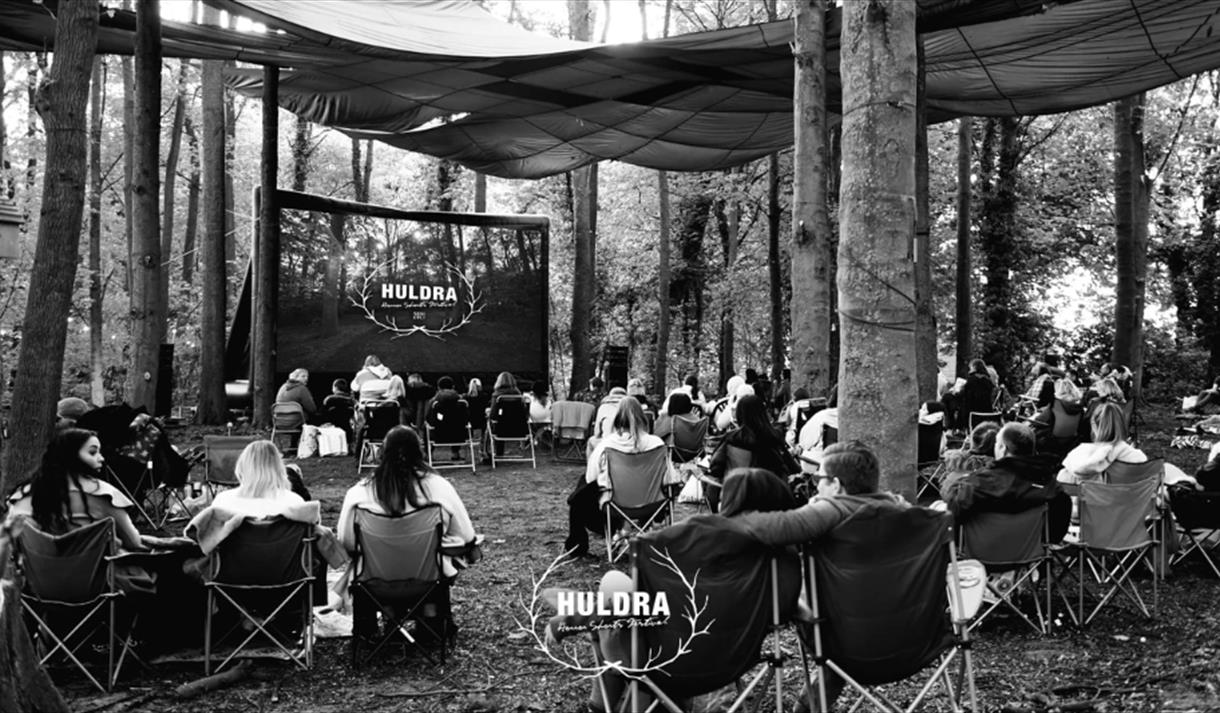 Outdoor Cinema at Notts Maze - Horror Night