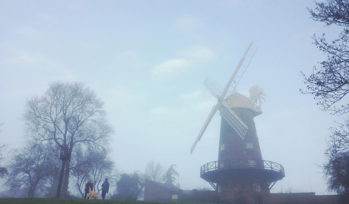 Halloween Trail at Green's Windmill