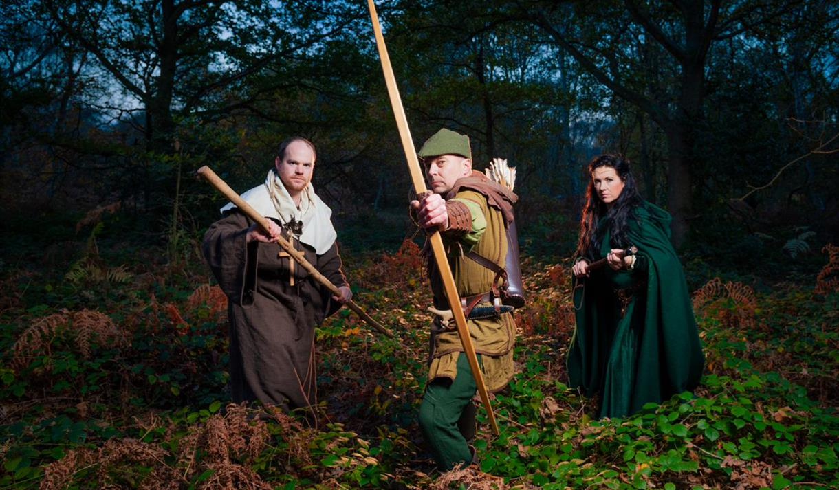 Twelfth Night and the Fools' Parade