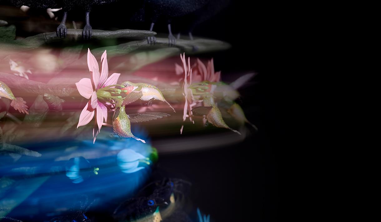 Mat Collishaw