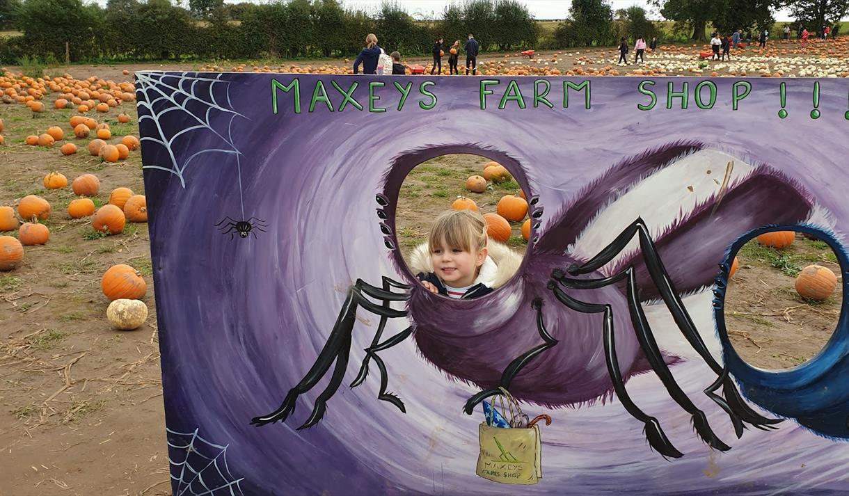 Pick up a Pumpkin at Maxeys Farm Shop
