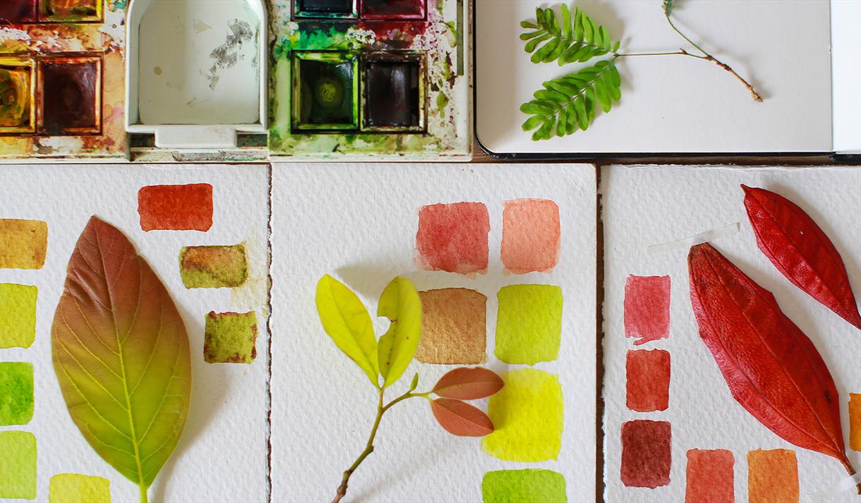 Making Pigments From Plants
