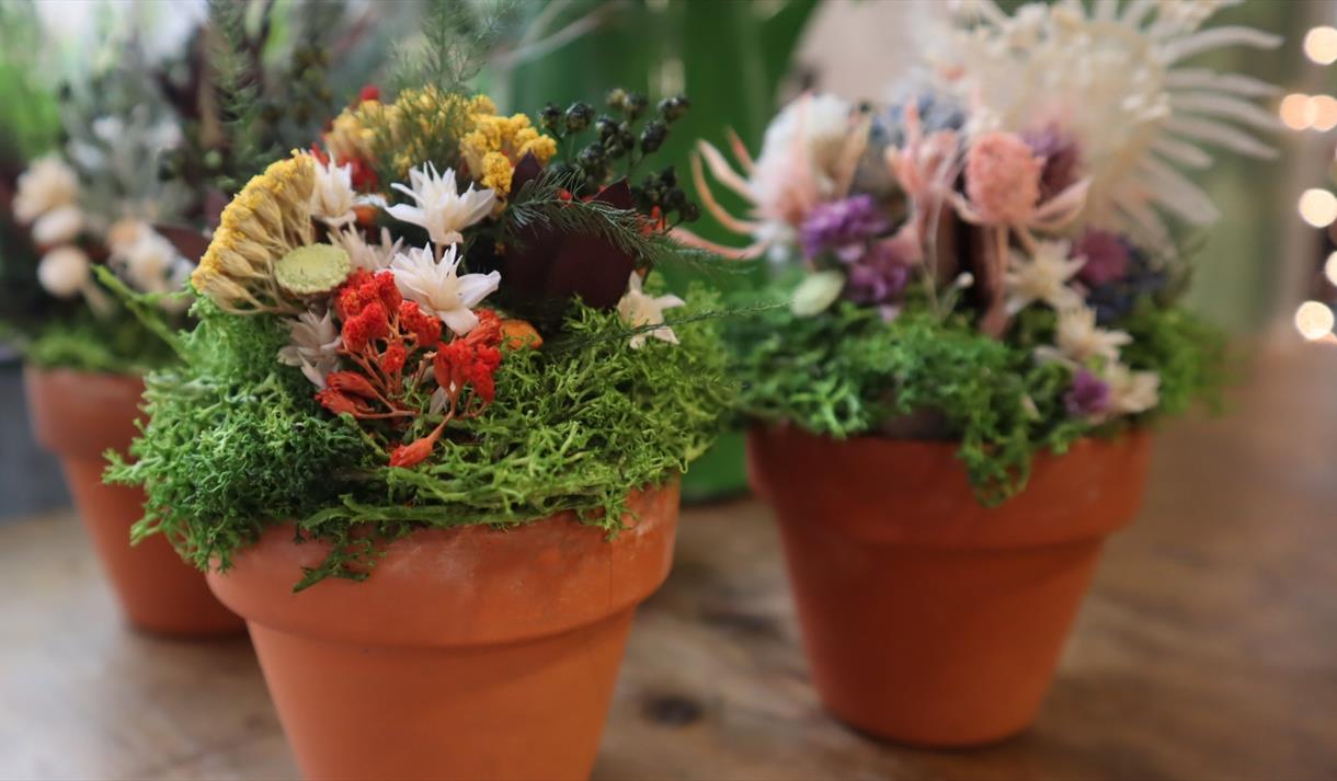 Mother's Day Mini Garden Crafternoon at Debbie Bryan Ruddington