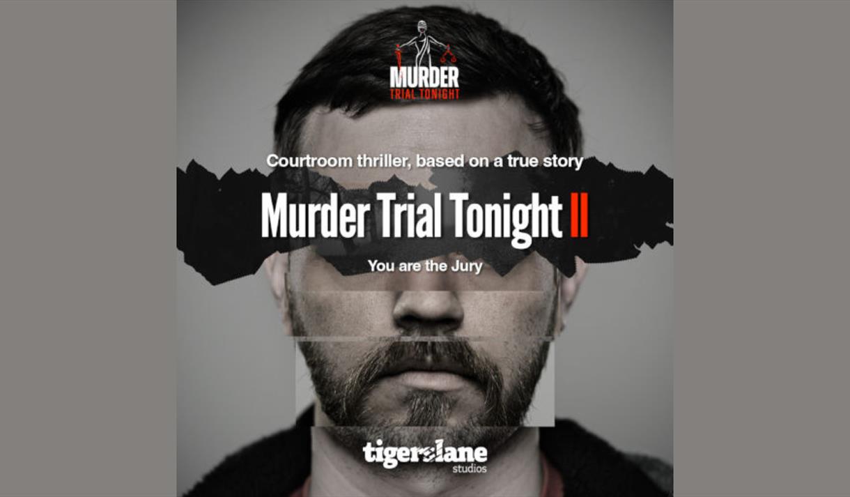 Murder Trial Tonight 2 - Tigerslane Studios