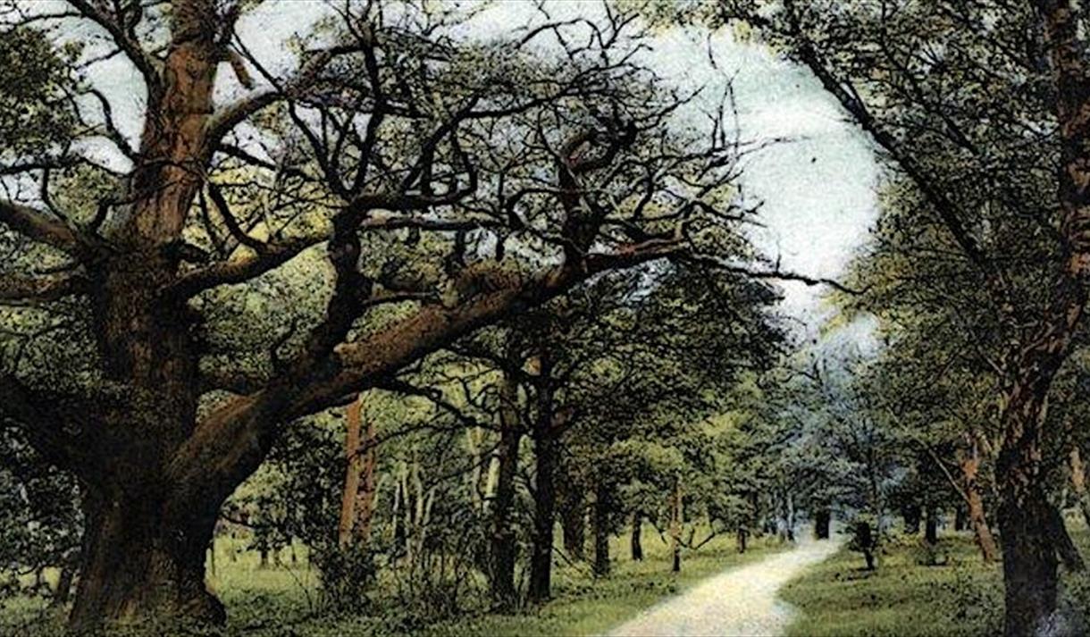 Top Ten Scandals of Sherwood Forest