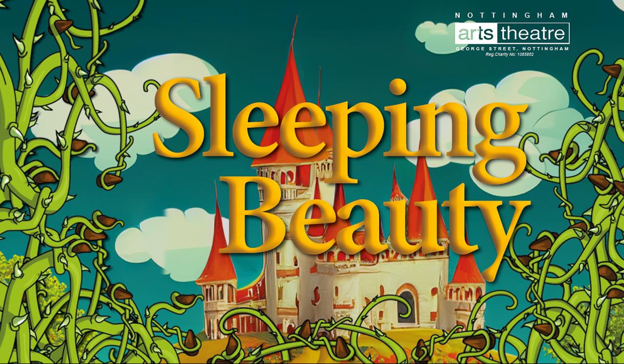 Sleeping Beauty Pantomime