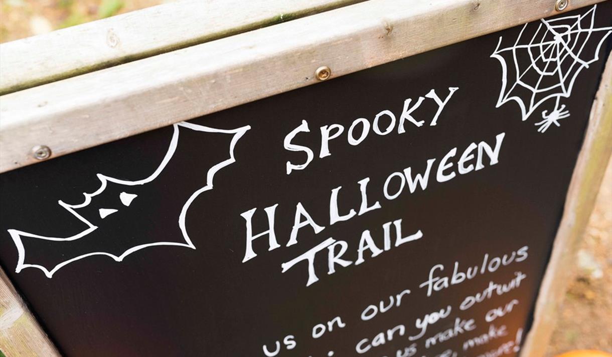 Haunted Halloween Trail at Sherwood Forest