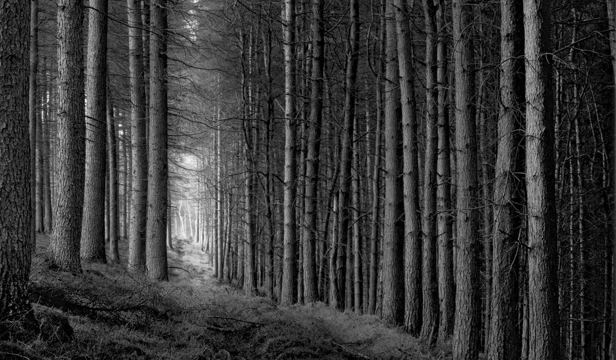 Paul Hart: Truncated