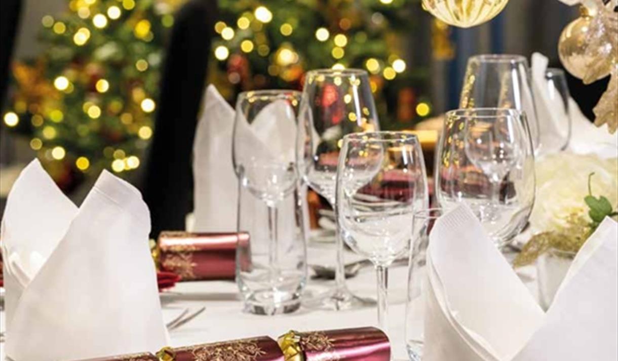 Park Plaza Christmas Party Nights