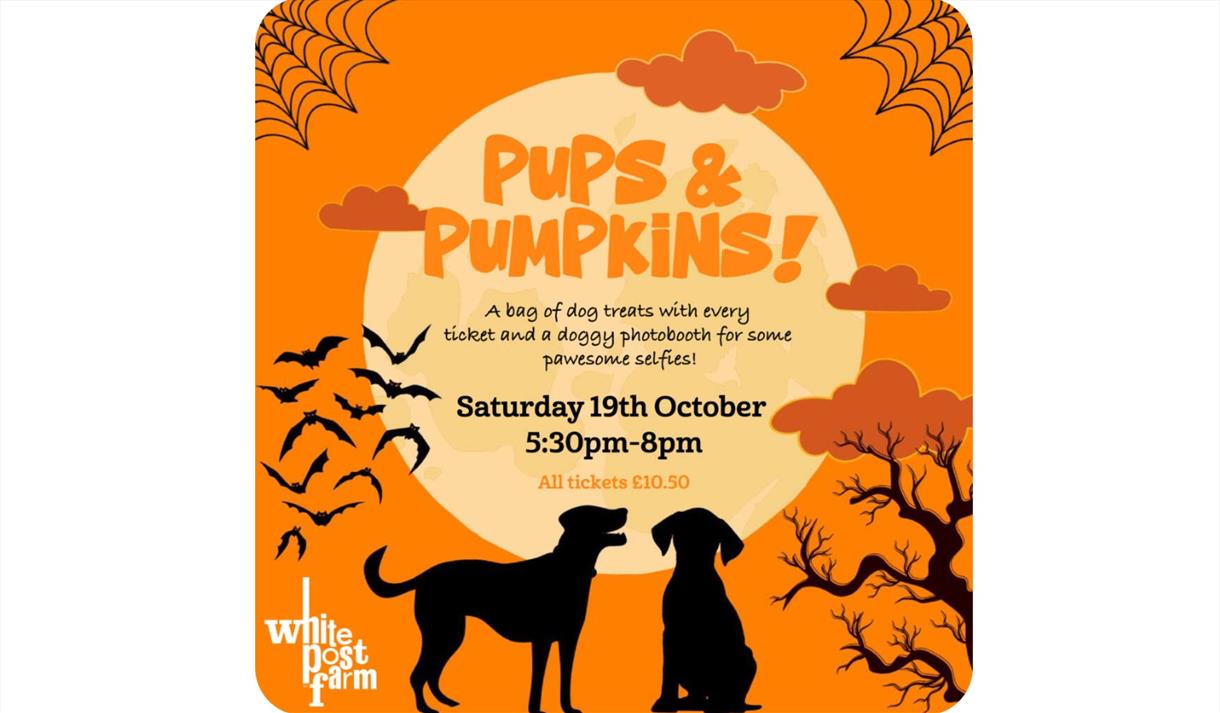 Pups & Pumpkins at White Post Farm