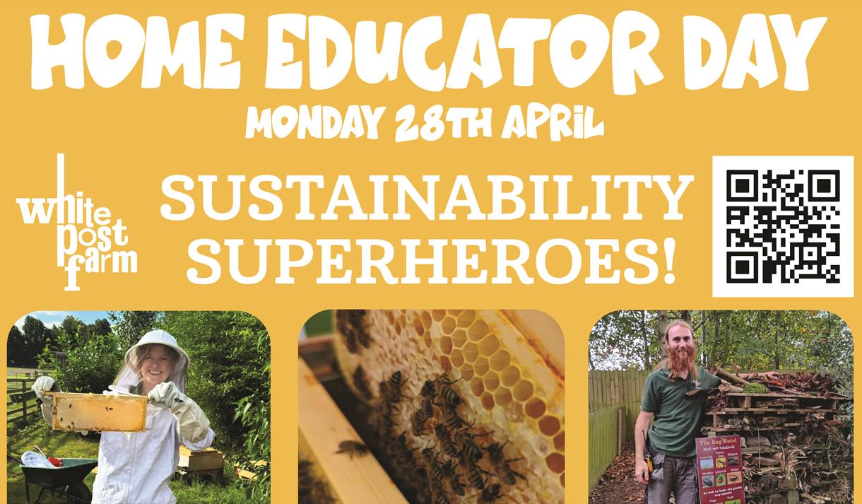 Home Educator Day: Sustainability Superheroes