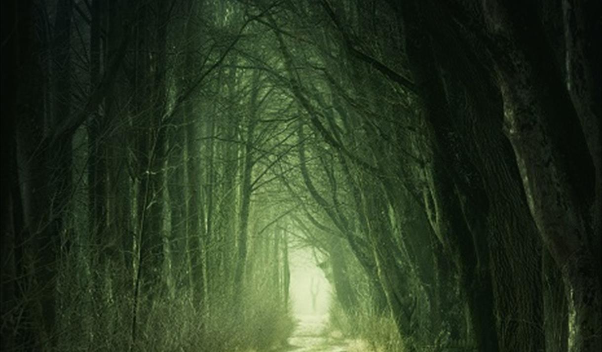 Writing Modern Fairytales